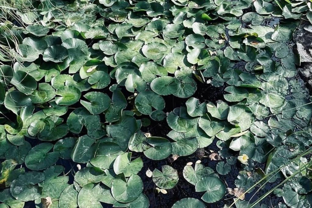Moradia Na Serra Alcanede Ngoại thất bức ảnh