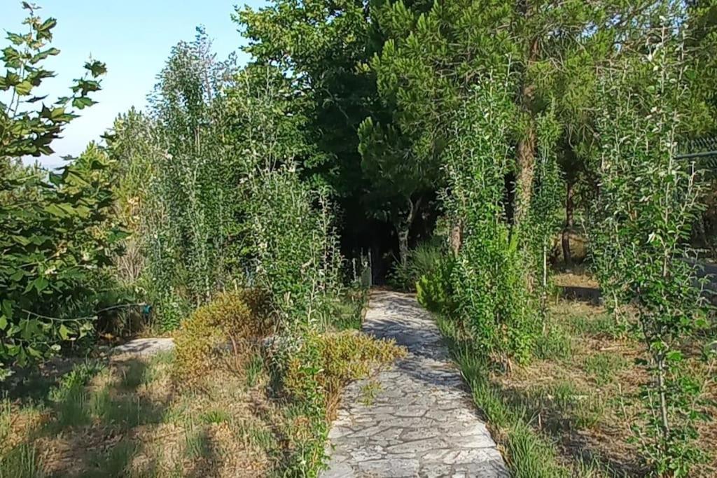 Moradia Na Serra Alcanede Ngoại thất bức ảnh